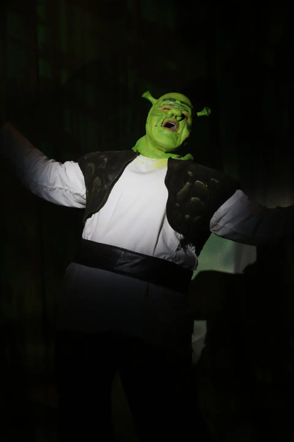 Willenhall Musical Theatre Company's 2023 production of Shrek the Musical at Dormston Mill Theatre, Sedgley. Photograph 120 of 165.