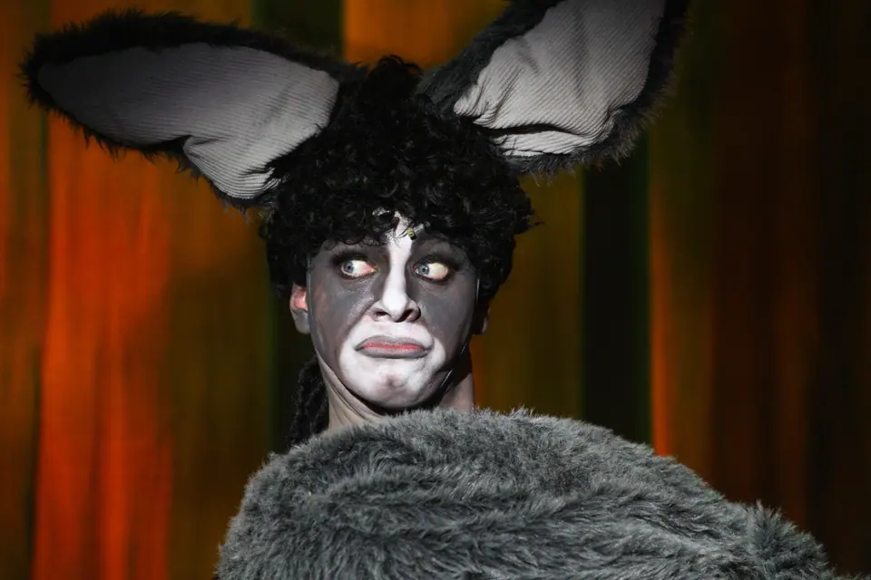 A performer in a full donkey costume, tall grey ears and a black curly wig, face painted grey and white, looks sharply to one side against a curtain lit orange and green.