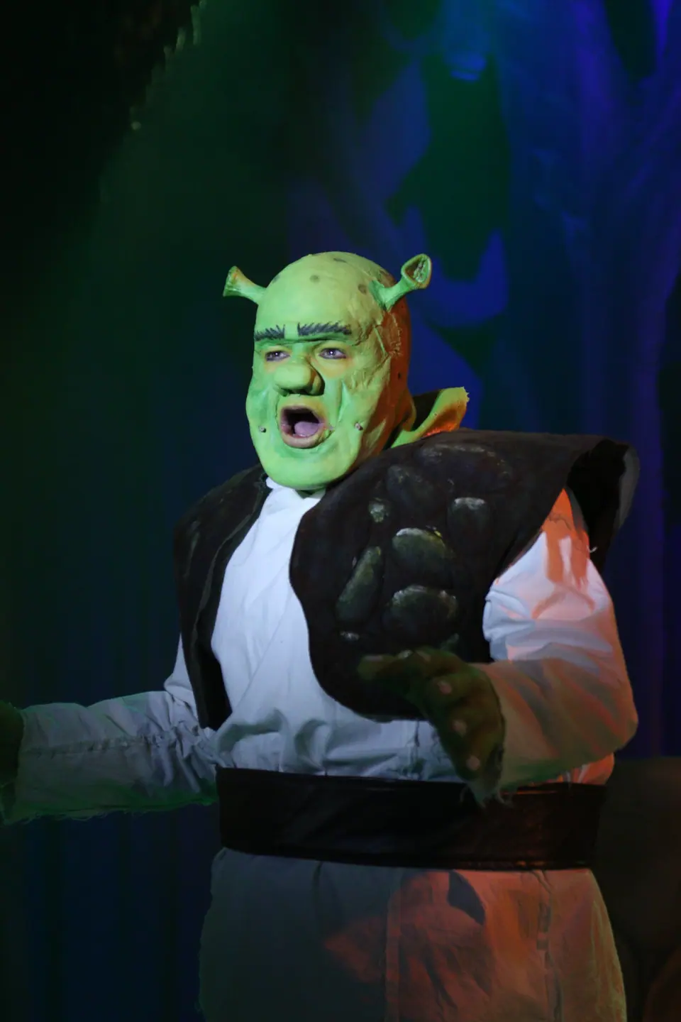 Willenhall Musical Theatre Company's 2023 production of Shrek the Musical at Dormston Mill Theatre, Sedgley. Photograph 14 of 165.