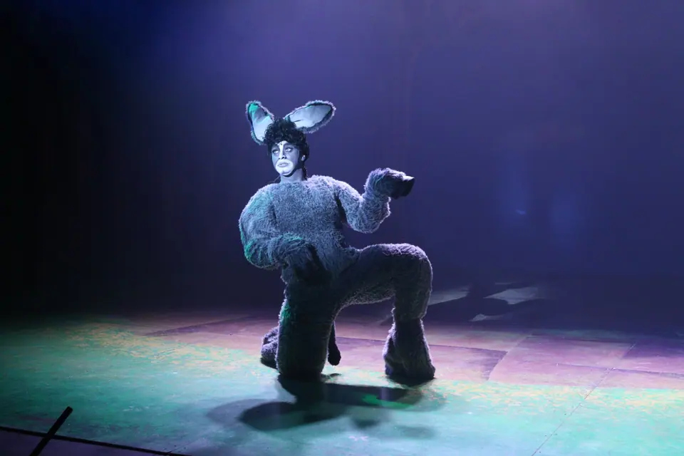 Willenhall Musical Theatre Company's 2023 production of Shrek the Musical at Dormston Mill Theatre, Sedgley. Photograph 30 of 165.
