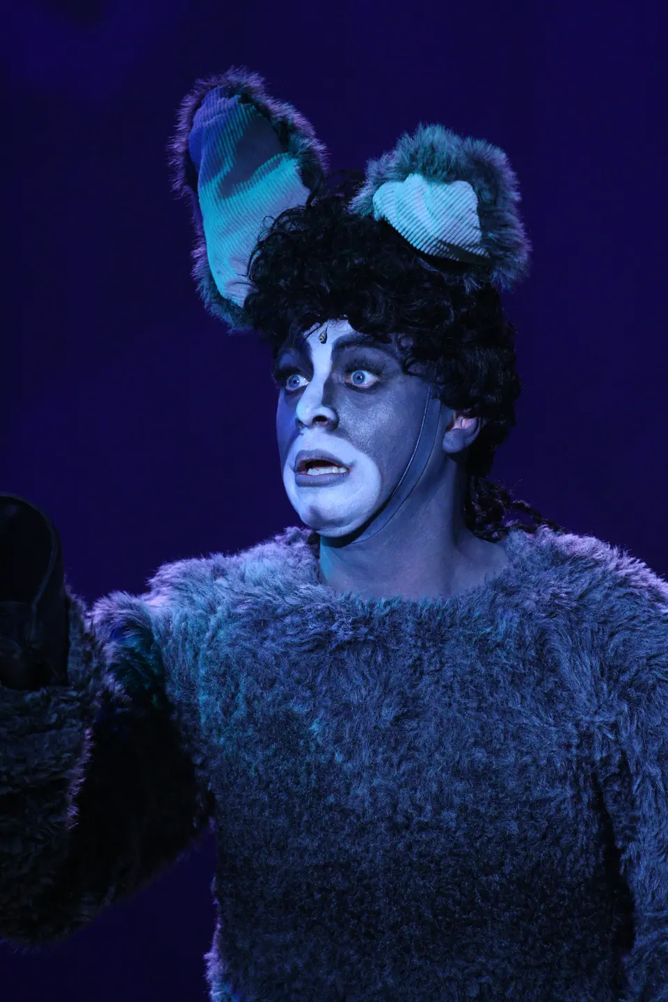 Willenhall Musical Theatre Company's 2023 production of Shrek the Musical at Dormston Mill Theatre, Sedgley. Photograph 31 of 165.