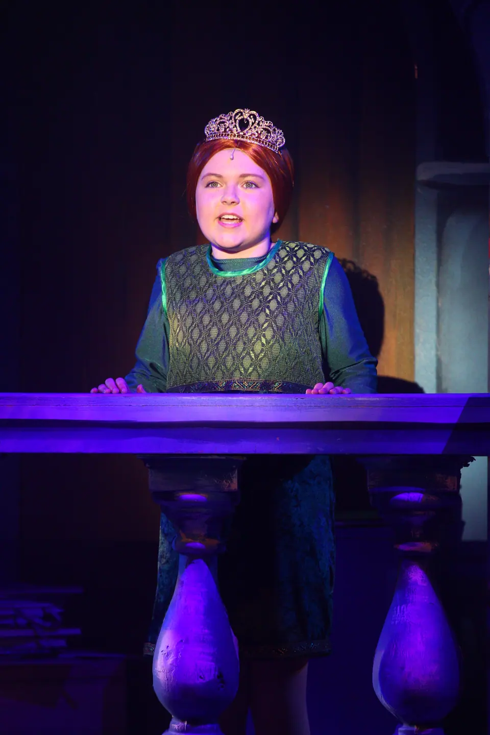 Willenhall Musical Theatre Company's 2023 production of Shrek the Musical at Dormston Mill Theatre, Sedgley. Photograph 55 of 165.