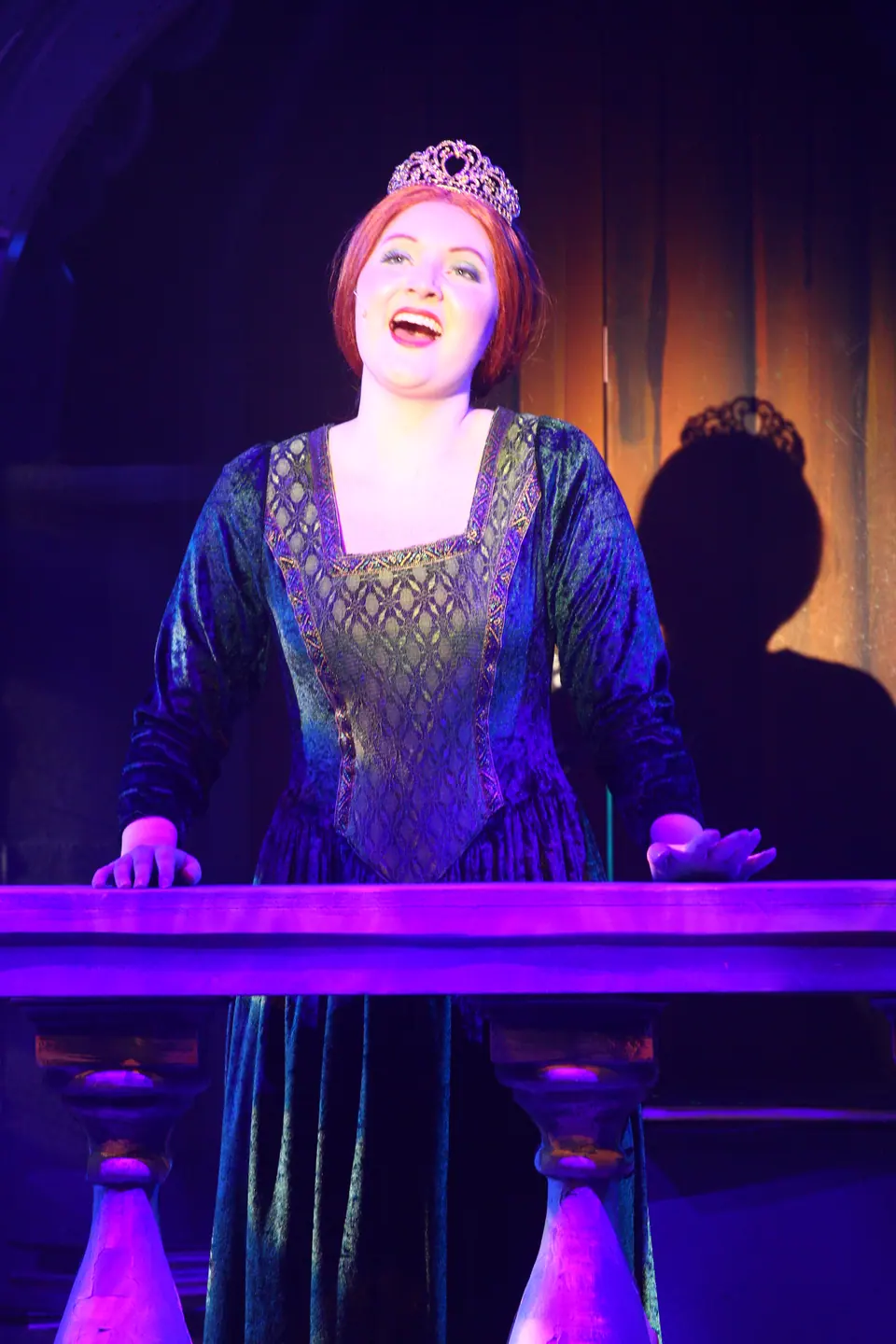 Willenhall Musical Theatre Company's 2023 production of Shrek the Musical at Dormston Mill Theatre, Sedgley. Photograph 57 of 165.