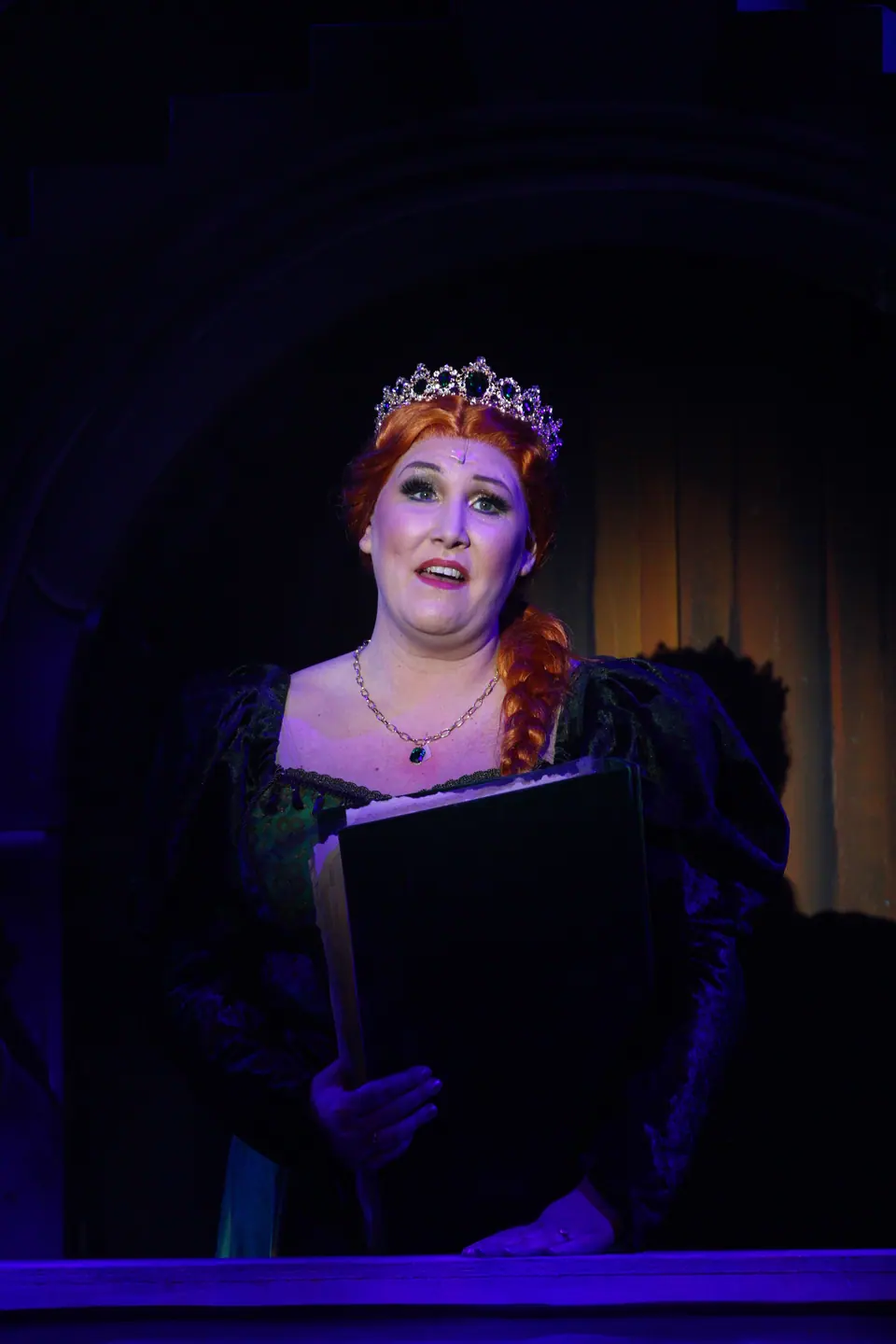 Willenhall Musical Theatre Company's 2023 production of Shrek the Musical at Dormston Mill Theatre, Sedgley. Photograph 58 of 165.