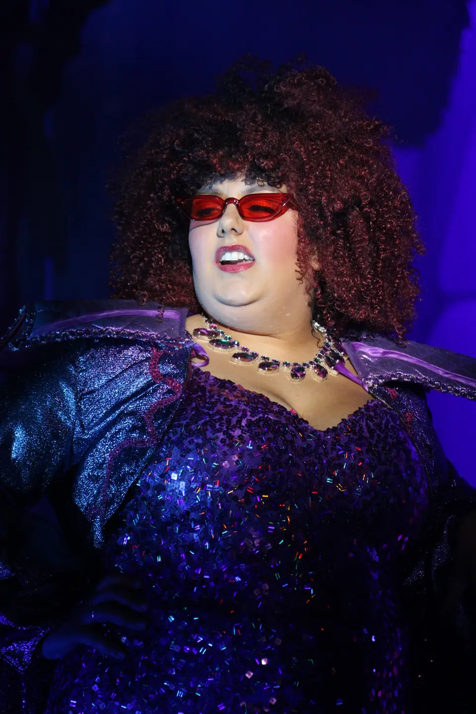 Willenhall Musical Theatre Company's 2023 production of Shrek the Musical at Dormston Mill Theatre, Sedgley. Photograph 68 of 165.