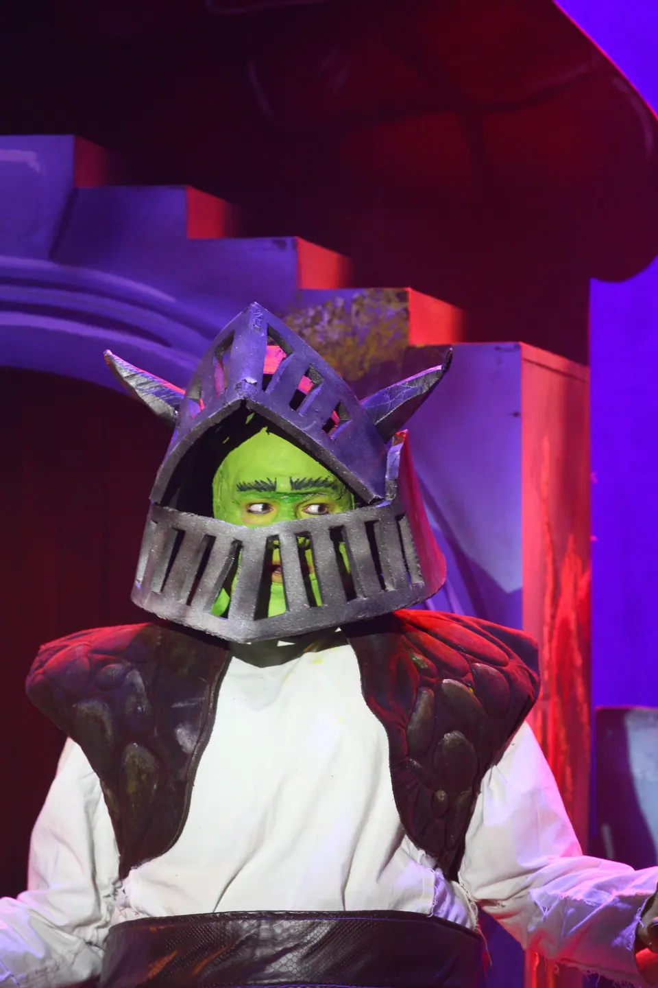 Willenhall Musical Theatre Company's 2023 production of Shrek the Musical at Dormston Mill Theatre, Sedgley. Photograph 76 of 165.