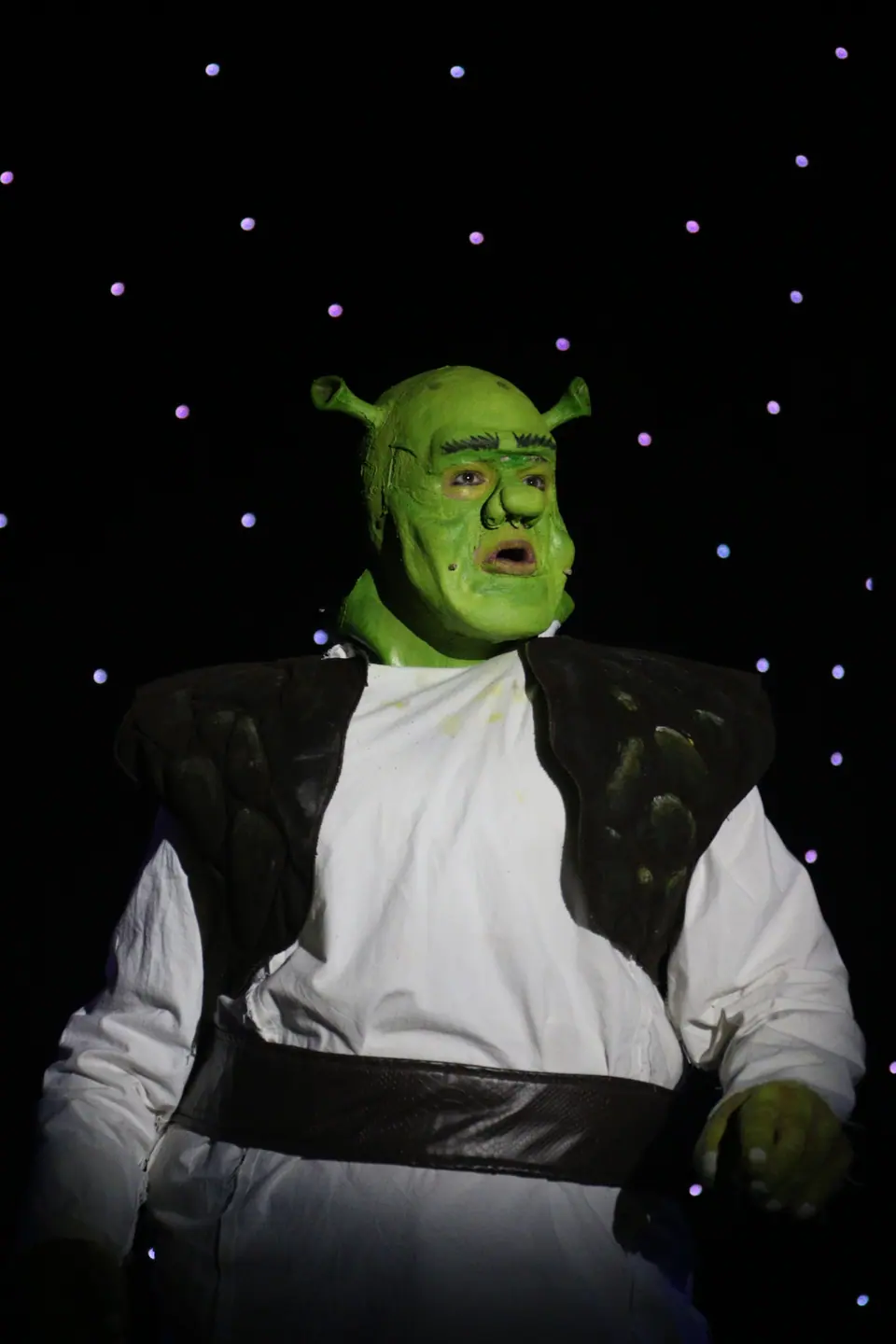 Willenhall Musical Theatre Company's 2023 production of Shrek the Musical at Dormston Mill Theatre, Sedgley. Photograph 82 of 165.