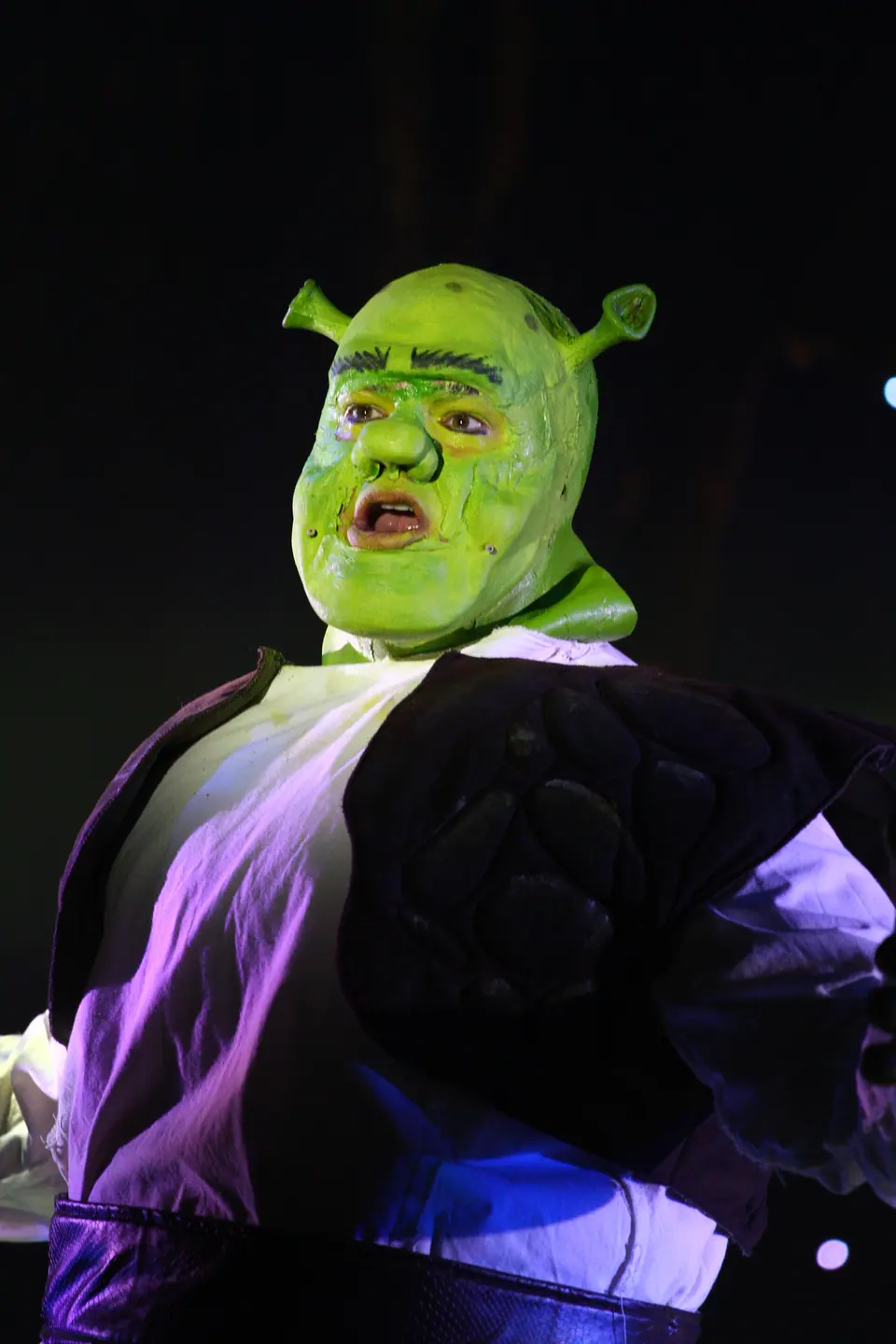 Willenhall Musical Theatre Company's 2023 production of Shrek the Musical at Dormston Mill Theatre, Sedgley. Photograph 87 of 165.