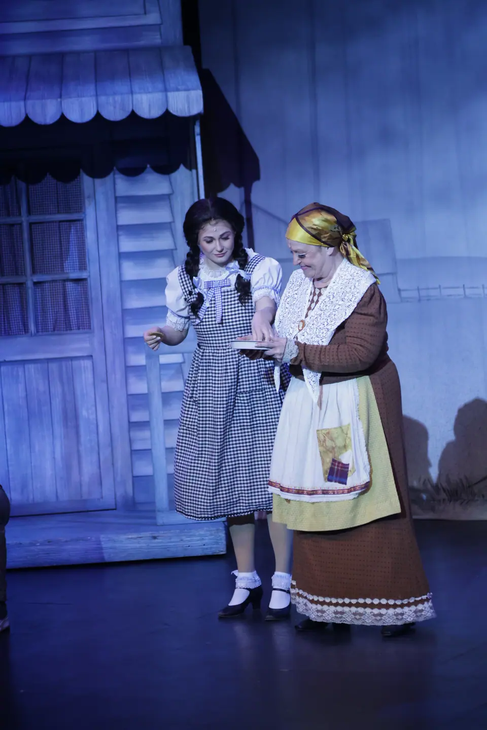 Willenhall Musical Theatre Company's 2025 production of The Wizard of Oz at Dormston Mill Theatre, Sedgley. Photograph 6 of 236.