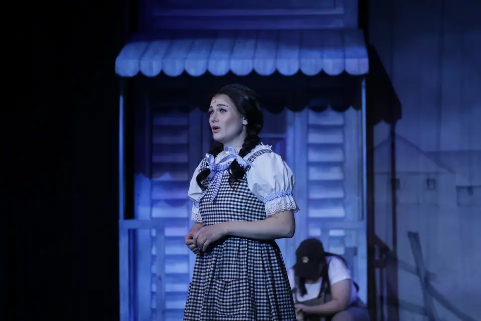 Willenhall Musical Theatre Company's 2025 production of The Wizard of Oz at Dormston Mill Theatre, Sedgley. Photograph 9 of 236.