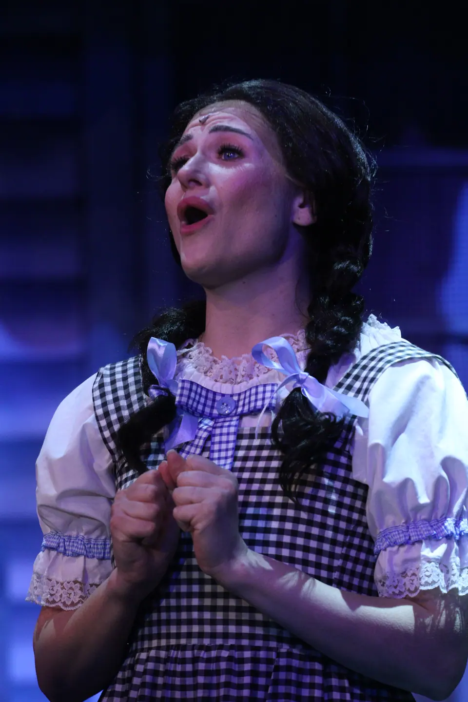 Willenhall Musical Theatre Company's 2025 production of The Wizard of Oz at Dormston Mill Theatre, Sedgley. Photograph 11 of 236.