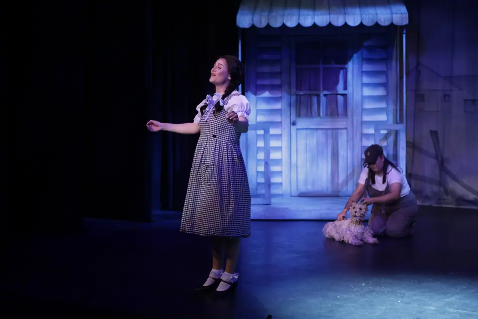 Willenhall Musical Theatre Company's 2025 production of The Wizard of Oz at Dormston Mill Theatre, Sedgley. Photograph 12 of 236.