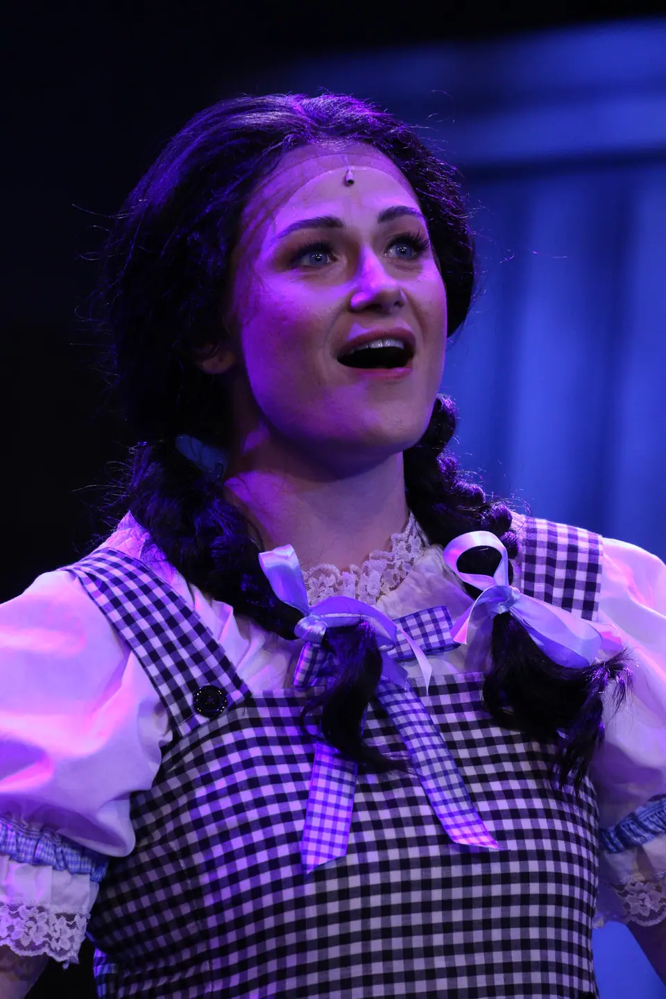 Willenhall Musical Theatre Company's 2025 production of The Wizard of Oz at Dormston Mill Theatre, Sedgley. Photograph 14 of 236.