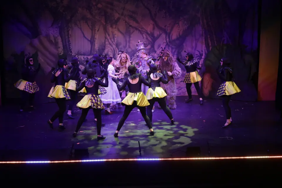 Willenhall Musical Theatre Company's 2025 production of The Wizard of Oz at Dormston Mill Theatre, Sedgley. Photograph 187 of 236.