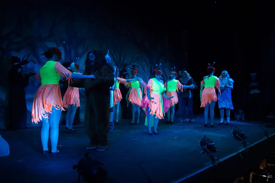 Willenhall Musical Theatre Company's 2012 production of Wizard of Oz at Dormston Mill Theatre, Sedgley. Photograph 68 of 74.