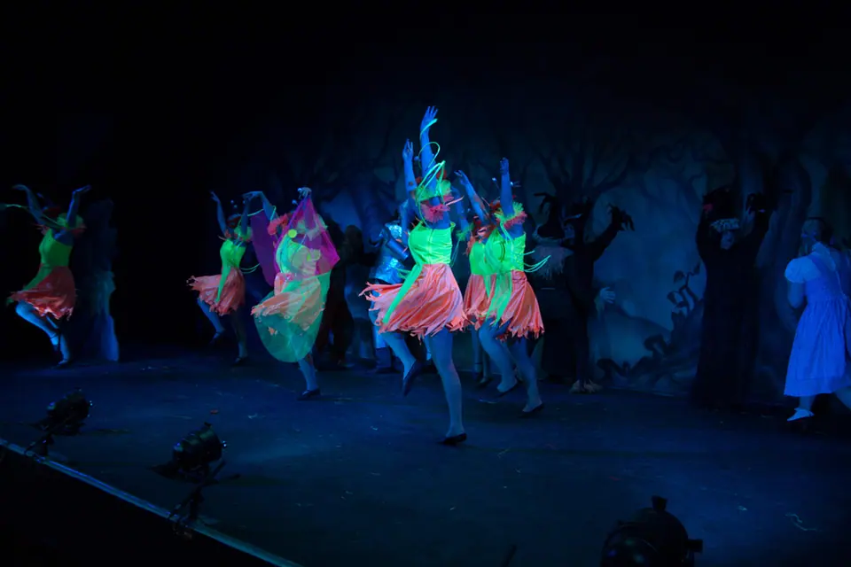 Willenhall Musical Theatre Company's 2012 production of Wizard of Oz at Dormston Mill Theatre, Sedgley. Photograph 72 of 74.