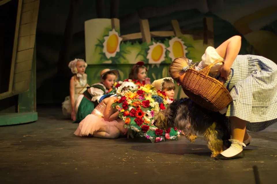 Willenhall Musical Theatre Company's 2012 production of Wizard of Oz at Dormston Mill Theatre, Sedgley. Photograph 21 of 74.