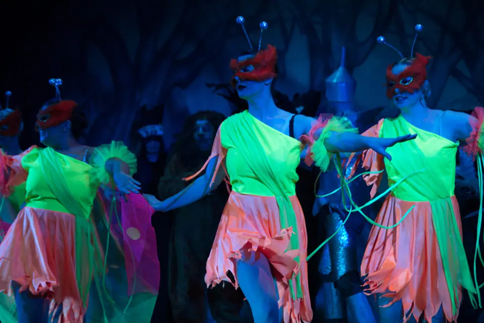 Willenhall Musical Theatre Company's 2012 production of Wizard of Oz at Dormston Mill Theatre, Sedgley. Photograph 25 of 74.