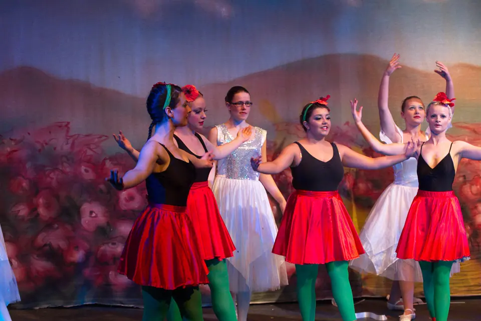 Willenhall Musical Theatre Company's 2012 production of Wizard of Oz at Dormston Mill Theatre, Sedgley. Photograph 31 of 74.