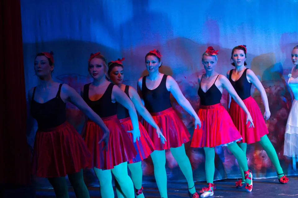 Willenhall Musical Theatre Company's 2012 production of Wizard of Oz at Dormston Mill Theatre, Sedgley. Photograph 33 of 74.