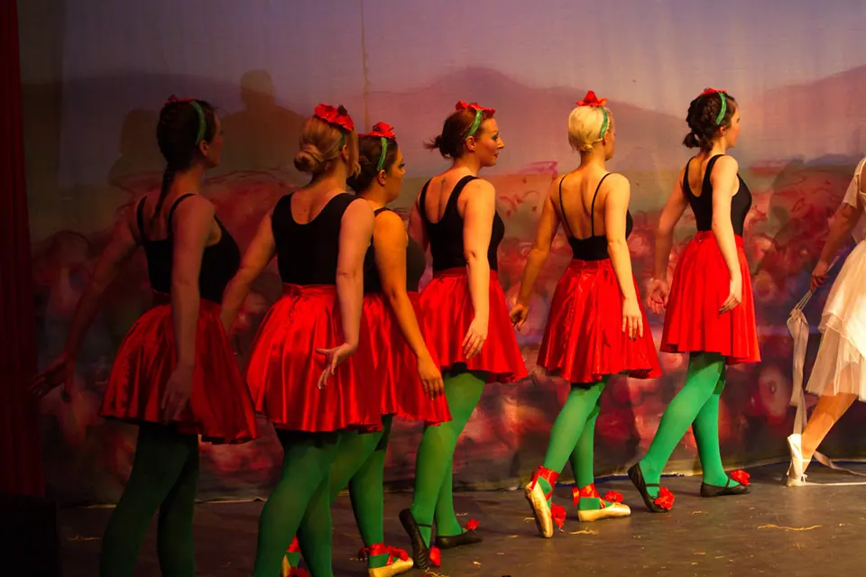 Willenhall Musical Theatre Company's 2012 production of Wizard of Oz at Dormston Mill Theatre, Sedgley. Photograph 34 of 74.