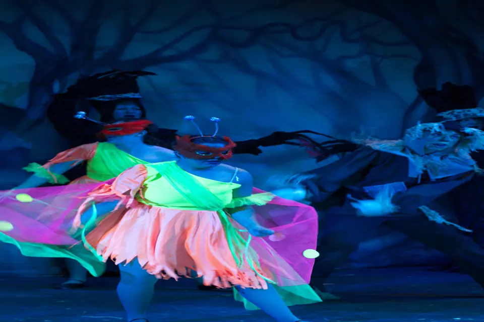 Willenhall Musical Theatre Company's 2012 production of Wizard of Oz at Dormston Mill Theatre, Sedgley. Photograph 39 of 74.