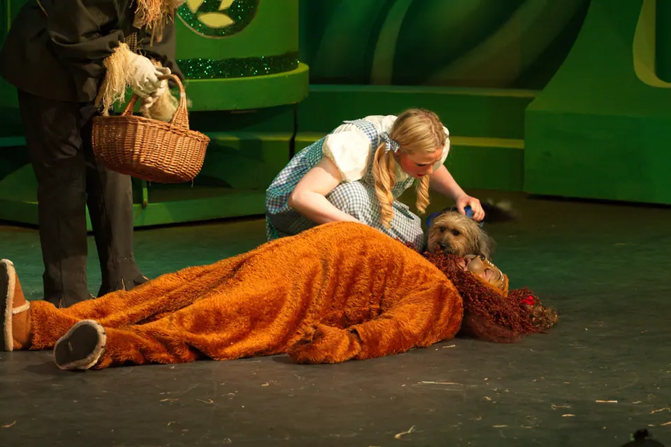 Willenhall Musical Theatre Company's 2012 production of Wizard of Oz at Dormston Mill Theatre, Sedgley. Photograph 48 of 74.